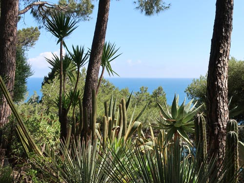 Mallorca Spain