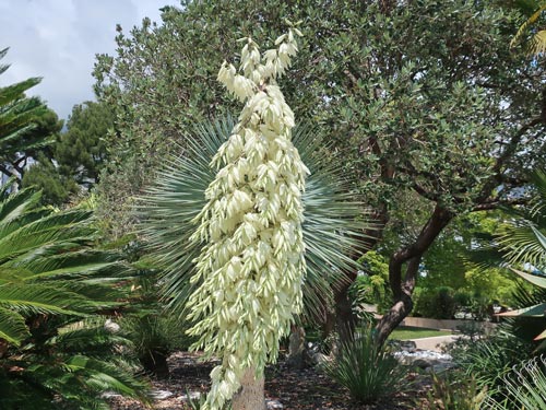 Mallorca, Balearic Islands